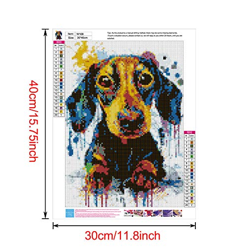 Dog Dachshund | Diamond Painting