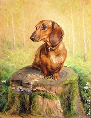 Dog Dachshund | Diamond Painting