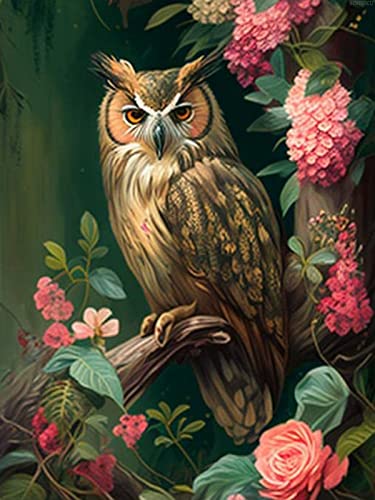 Owl | Diamond Painting