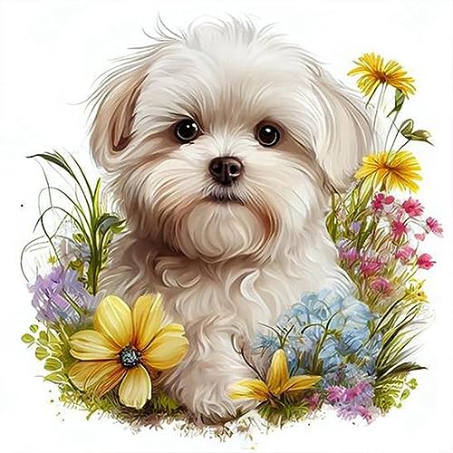 Dog Shih Tzu | Diamond Painting