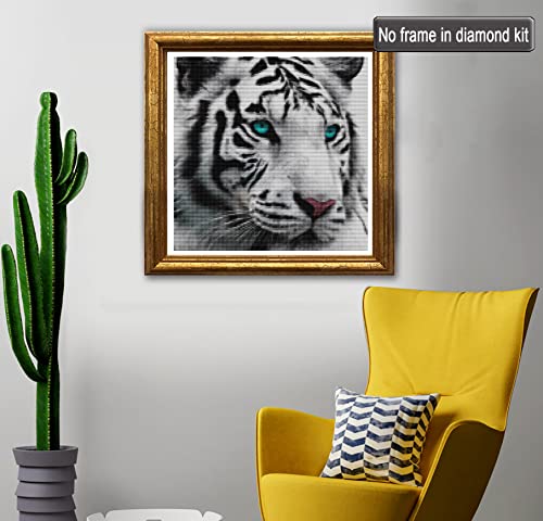 White Tiger Blue Eyes | Diamond Painting