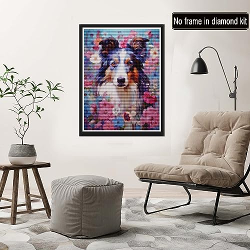 Dog Australian Shepherd | Diamond Painting