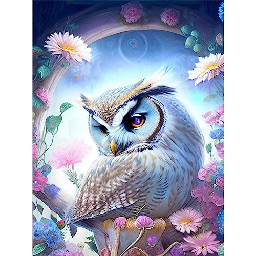 Owl | Diamond Painting