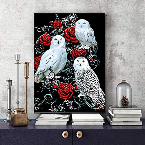 White Owl | Diamond Painting