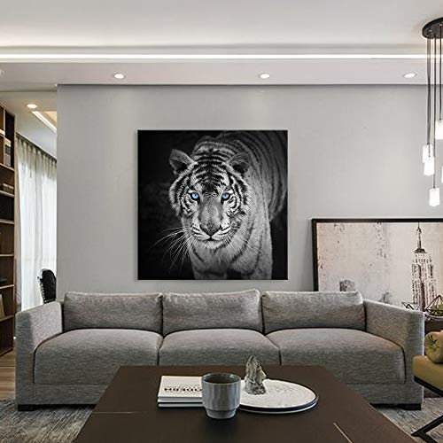 White Tiger Blue Eyes | Diamond Painting