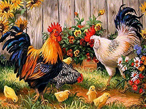 Chicken | Diamond Painting