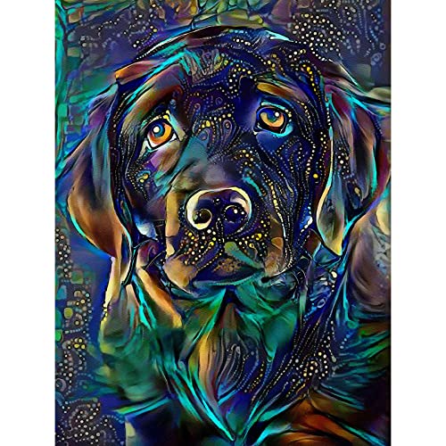 Labrador Dog | Diamond Painting