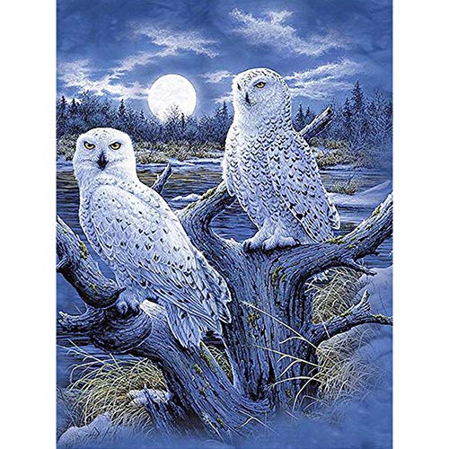 White Owl | Diamond Painting