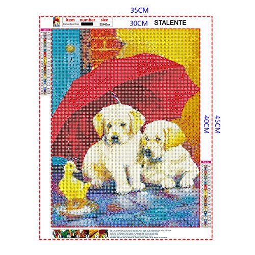 Yellow Dog Labrador | Diamond Painting