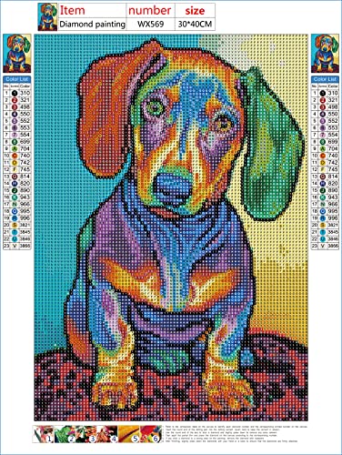 Dachshund Dog | Diamond Painting